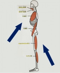 プレゼンテーション1 (2)