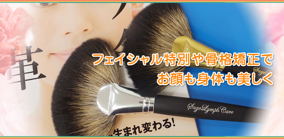 さとう式リンパケア　フェイシャルブラシ【未開封】 さとう式リンパケアブラシ フェイシャルブラシ フェイスブラシ